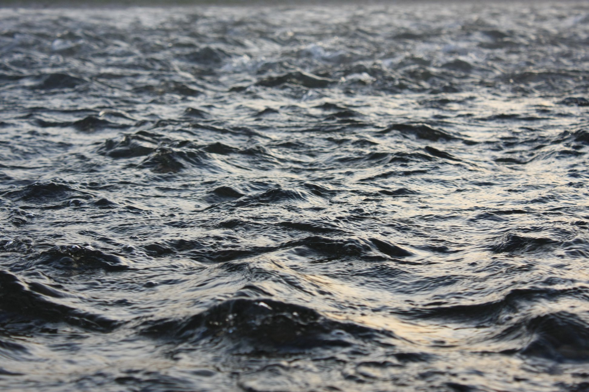 那珂川天然鮎の遡上状況～茨城県千代橋～｜Riverline｜